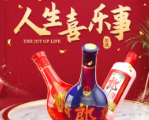 郎酒快盈V3版招商